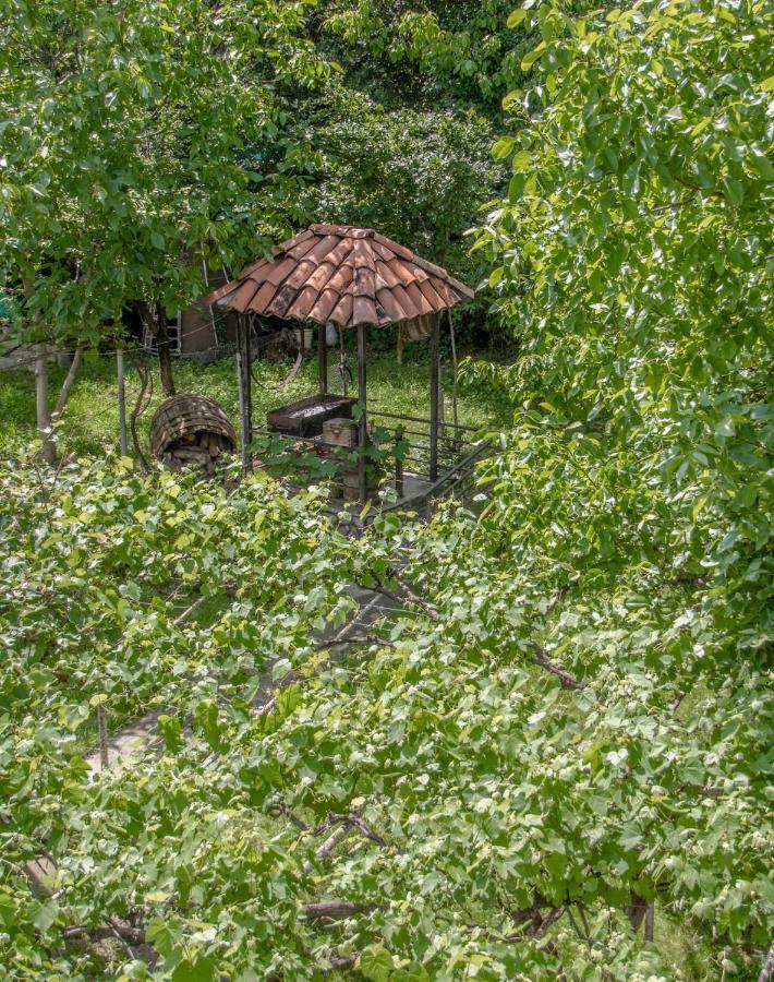 Qilimcha'S Guesthouse-Art Museum Telavi Exteriör bild
